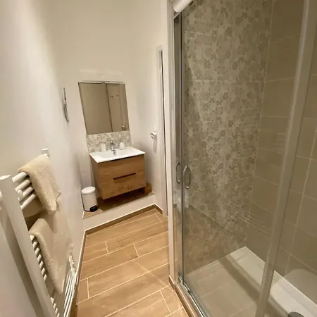 Comedy: Heart Of Town Facing The Na Region Apartment Poitiers