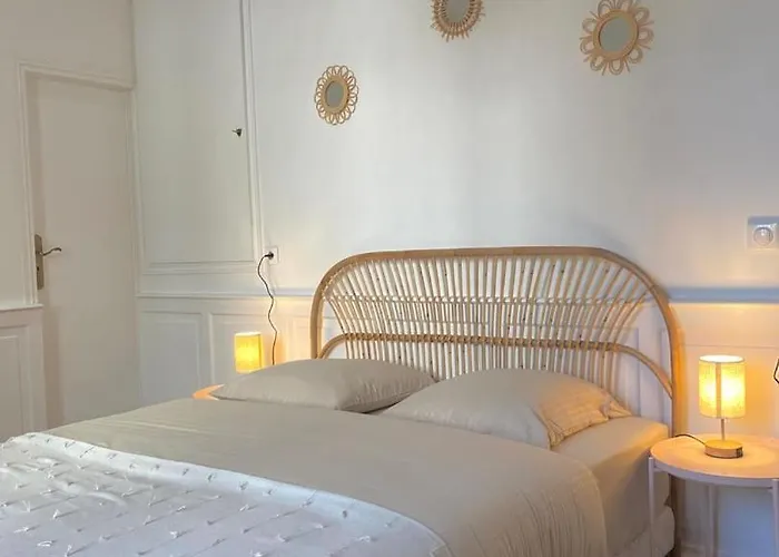 Apartment Comedy: Heart Of Town Facing The Na Region Poitiers