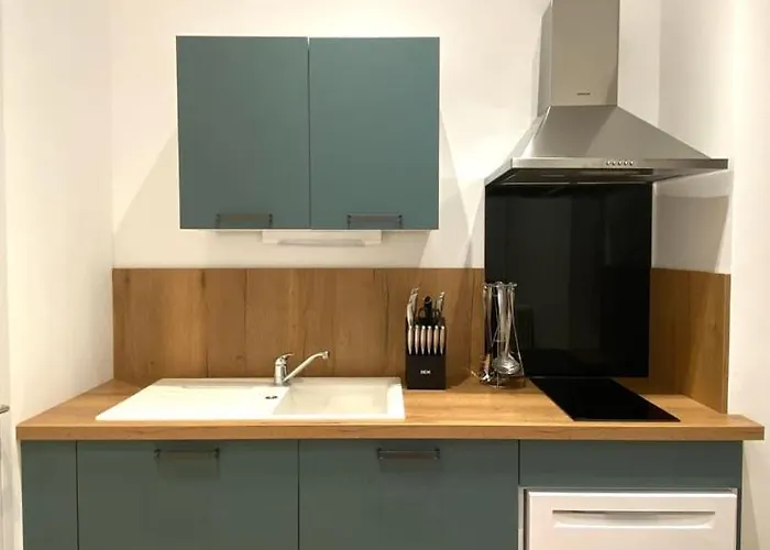 Apartment Comedy: Heart Of Town Facing The Na Region Poitiers