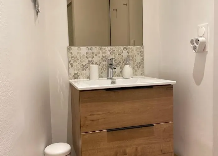 Apartment Comedy: Heart Of Town Facing The Na Region Poitiers